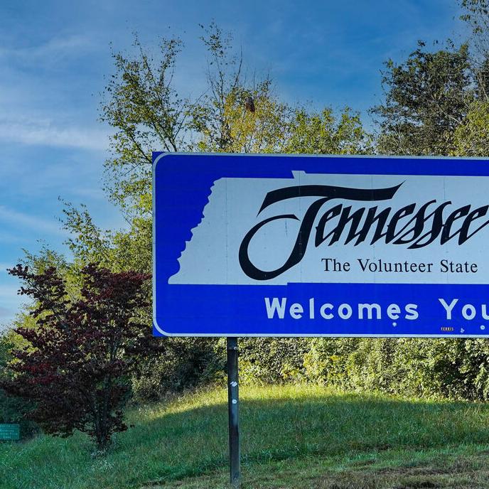 Advice King: Should I Stay or Should I Go?